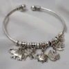 The Vana Symbolic Bracelet
